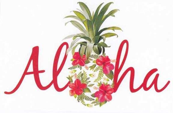 Illustration of a pineapple adorned with green leaves and red hibiscus flowers, with the word aloha in flowing red script overlaid.